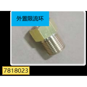 Ограничитель протока 13 л с фильтром, арт.7818023, Baxi